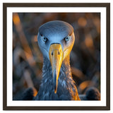 Great Blue Heron Closeup Dramatic Portrait thumbnail