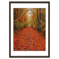 Lush Autumn Forest Path Covered
