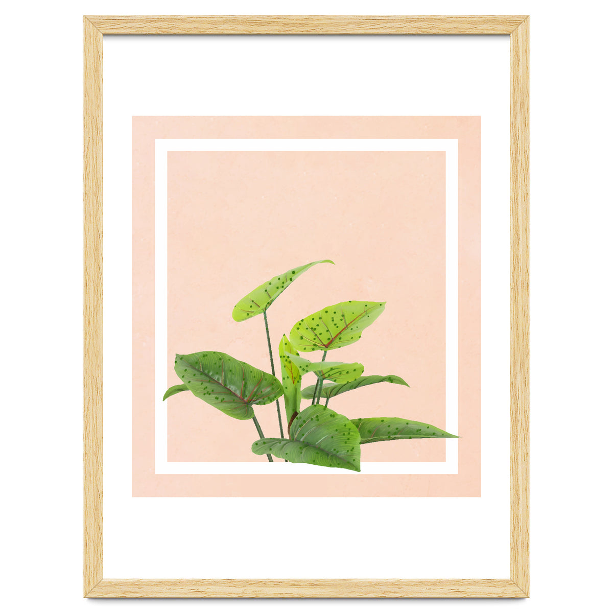 Botanical Art