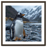Gentoo Penguin Standing On A Rocky Shore thumbnail