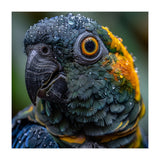 Close Up Of A Wet Macaw Parrot Head (Print Only) thumbnail