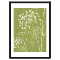 Wildflowers III