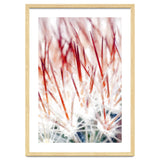 Delicate Florals thumbnail