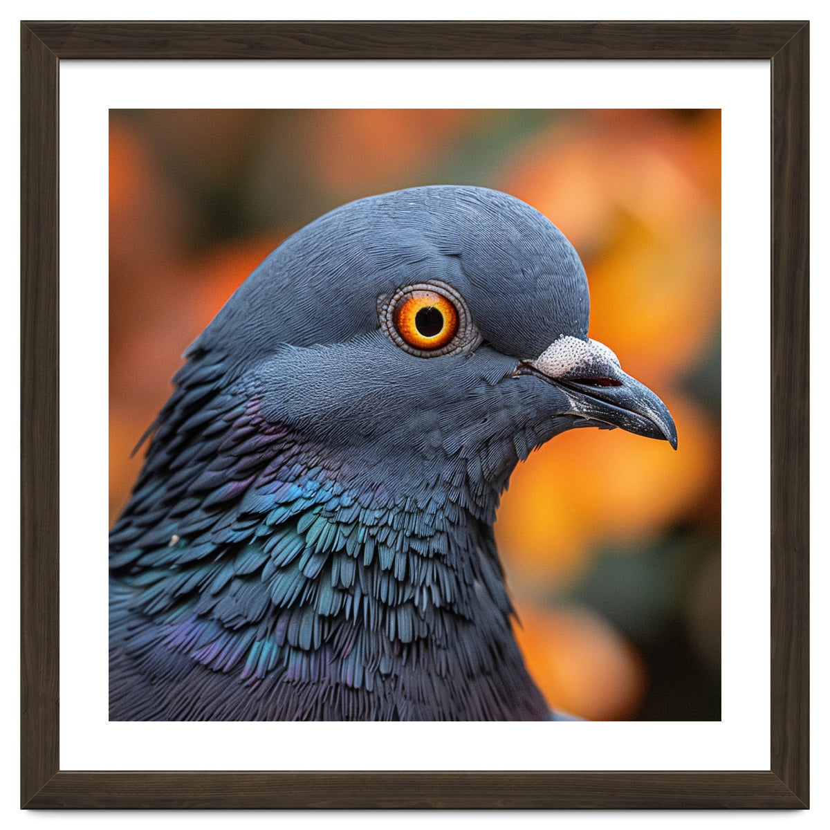 Close Up Of A Pigeon's Head And Neck