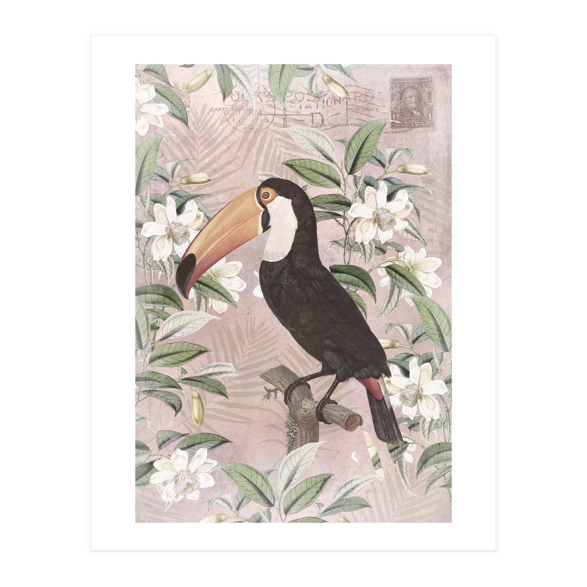 Exotic Bird Toucan (Print Only)