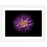 Backyard Flowers No 20 Color Flow Version thumbnail