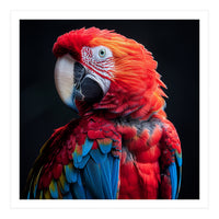 Scarlet Macaw Parrot Detailed Feather Close Up Portrait (Print Only)