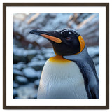 King Penguin In The Snow With Frosty Head thumbnail