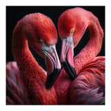 Two Flamingos Together (Print Only) thumbnail