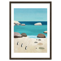 Penguins, Boulders Beach