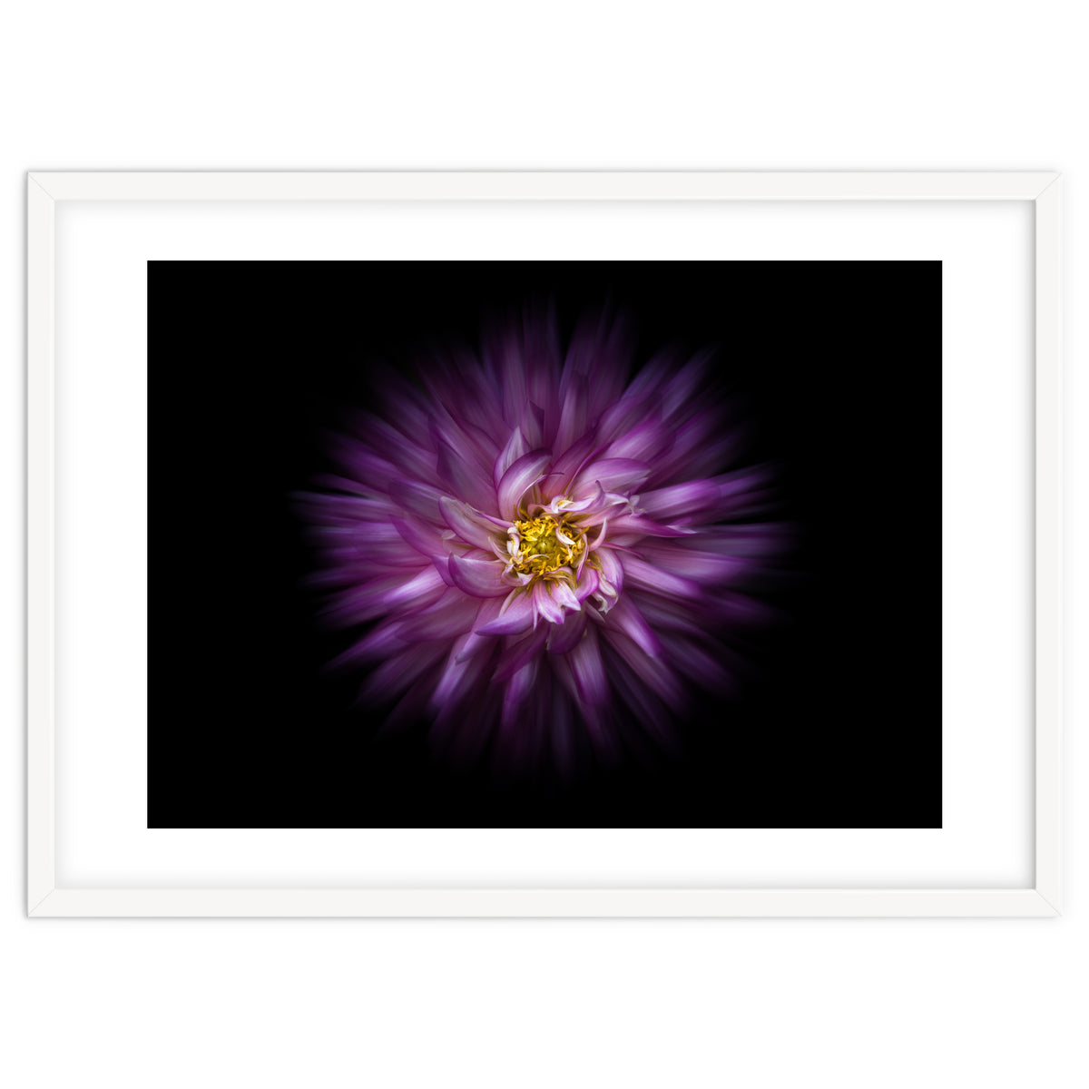 Backyard Flowers No 20 Color Flow Version