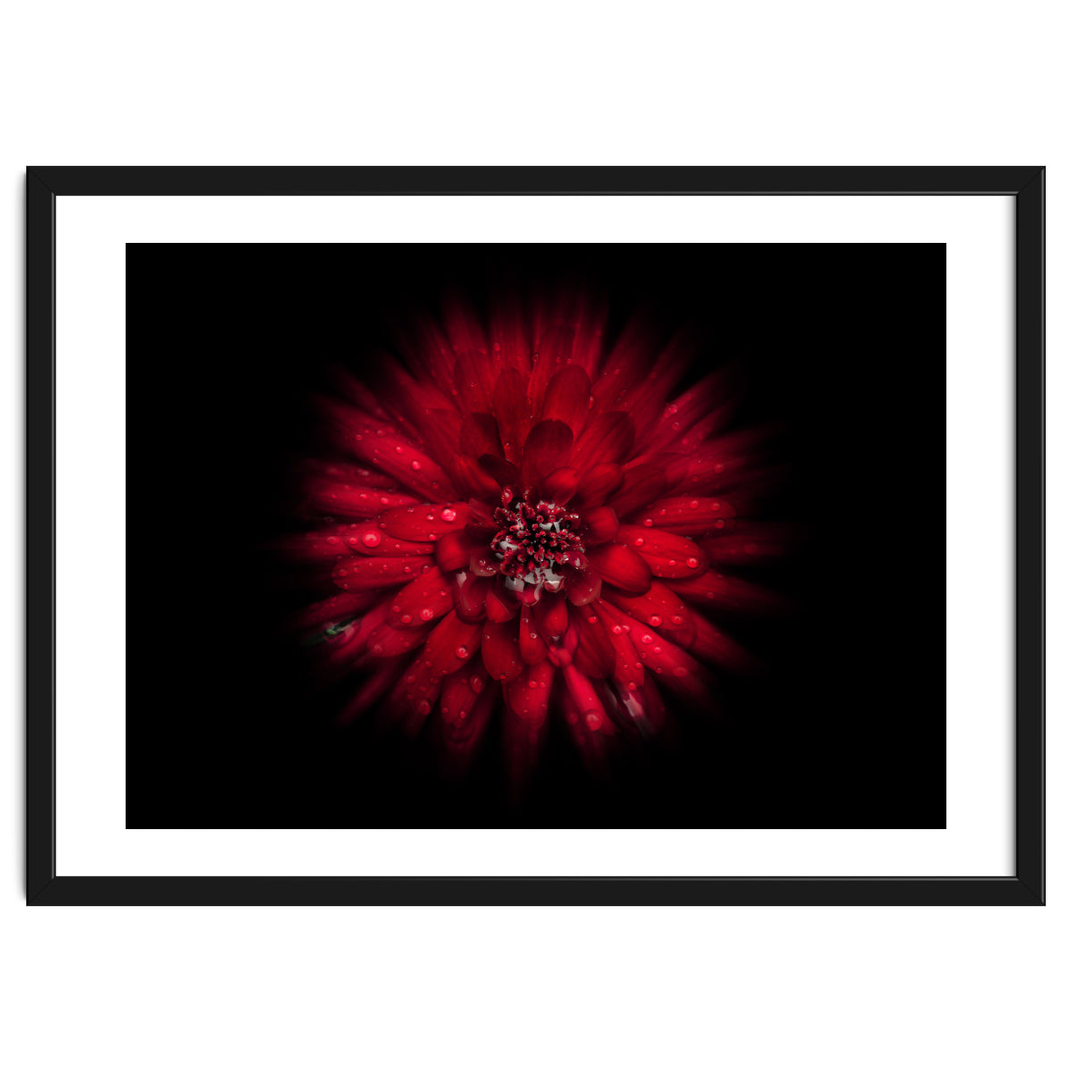 Backyard Flowers No 45 Color Flow Version