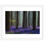 Bluebell forest thumbnail