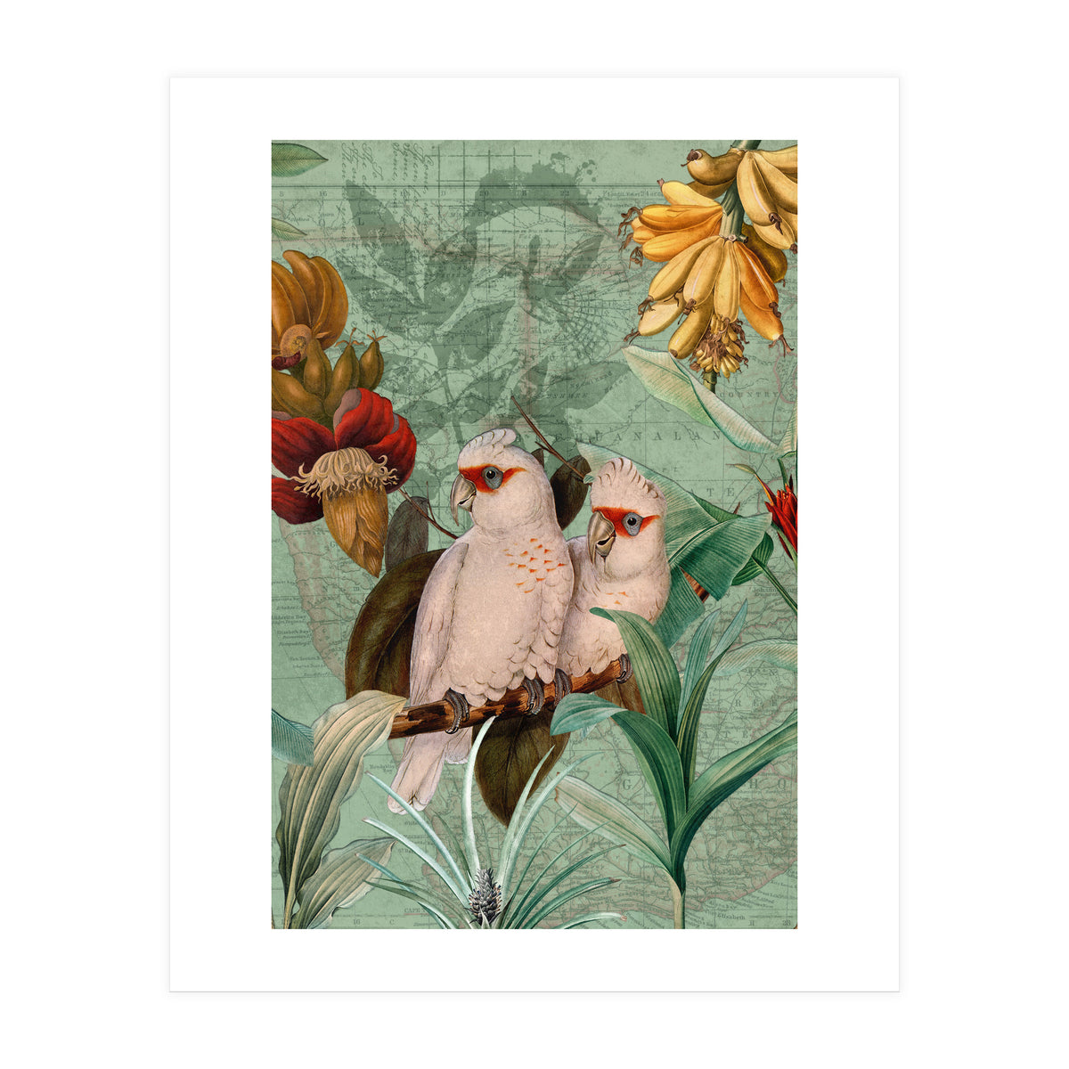 Green Cockatoo Exotic Bird Jungle  (Print Only)