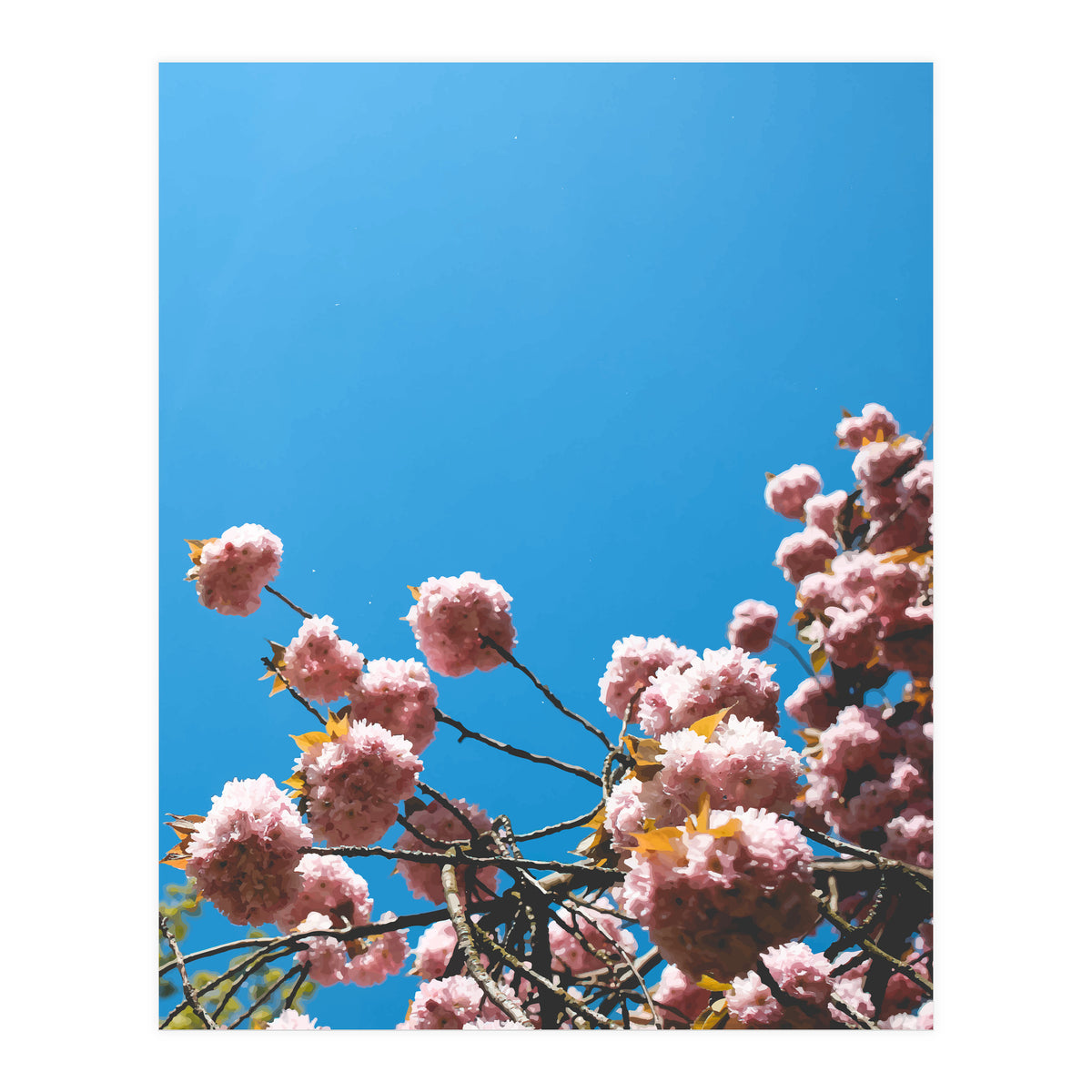 Pink Summer (Print Only)