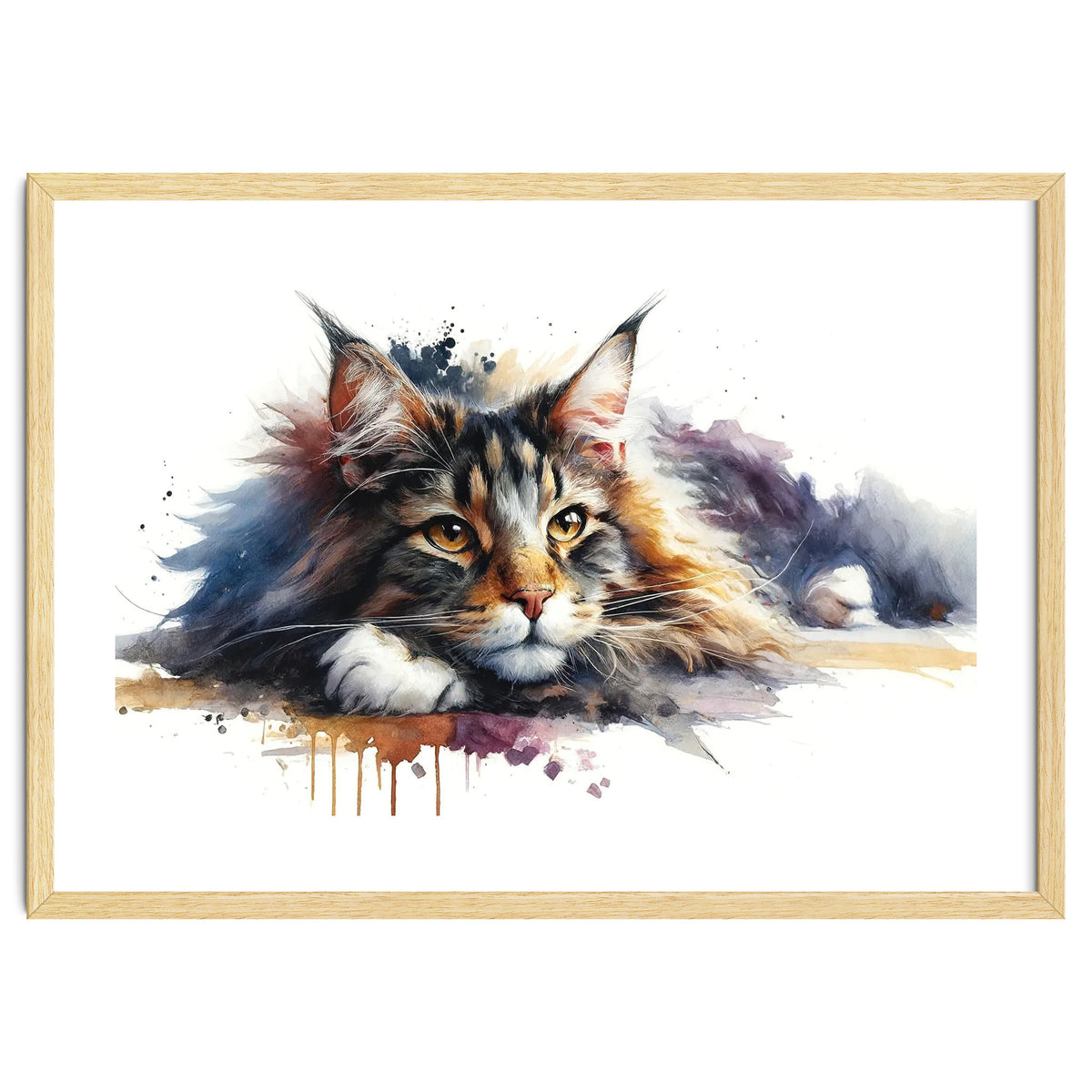 Maine Coon Resting Portrait