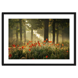 The poppy forest thumbnail