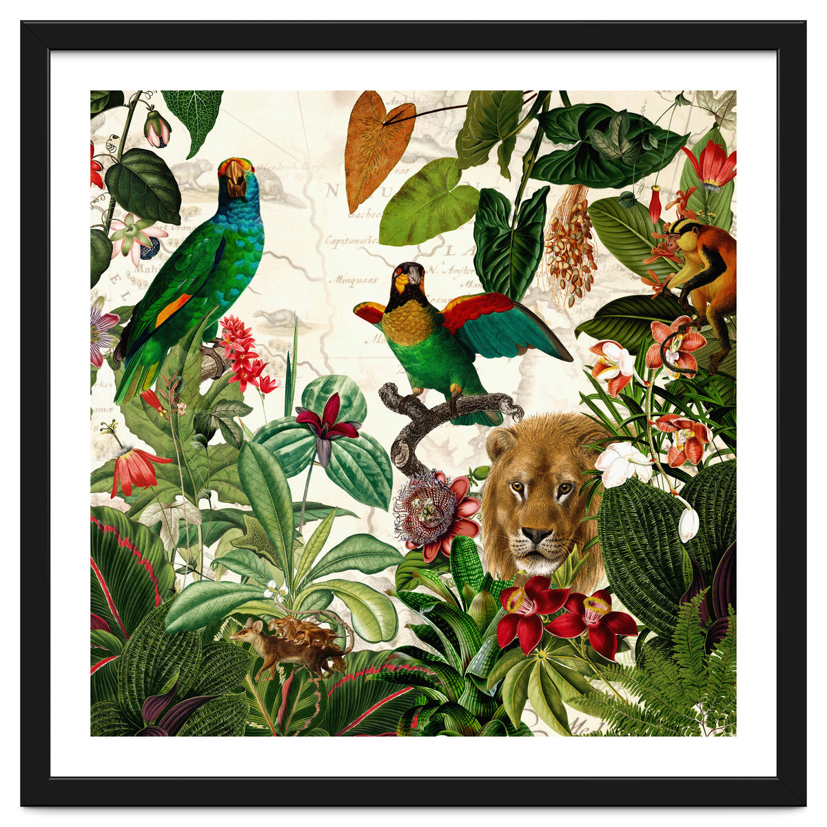 Exotic Lush Jungle And Wild Animals Landscape