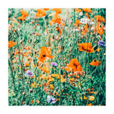 Eva | Nature Floral Meadow Garden | Photography Botanical Spring Bohemian Flowers (Print Only) thumbnail