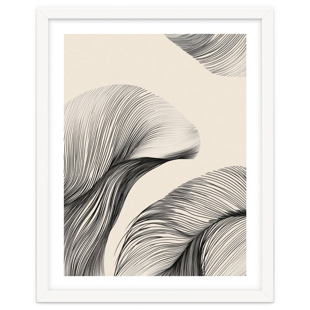 Black And White Flowing Lines Organic Shapes