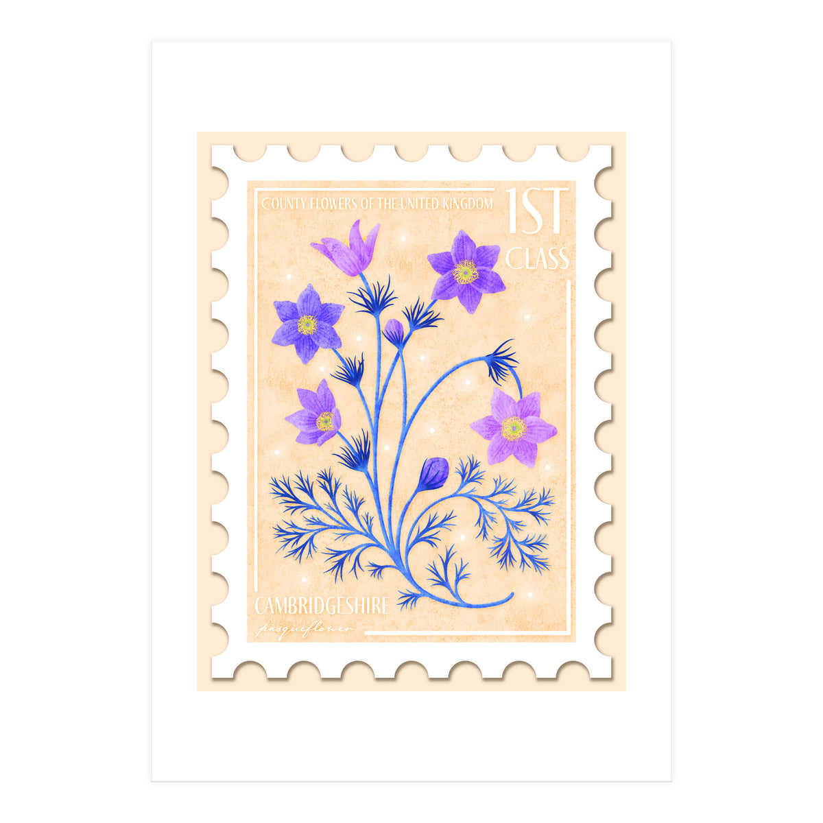 The Cambridgeshire Pasqueflower Postage Stamp (Print Only)