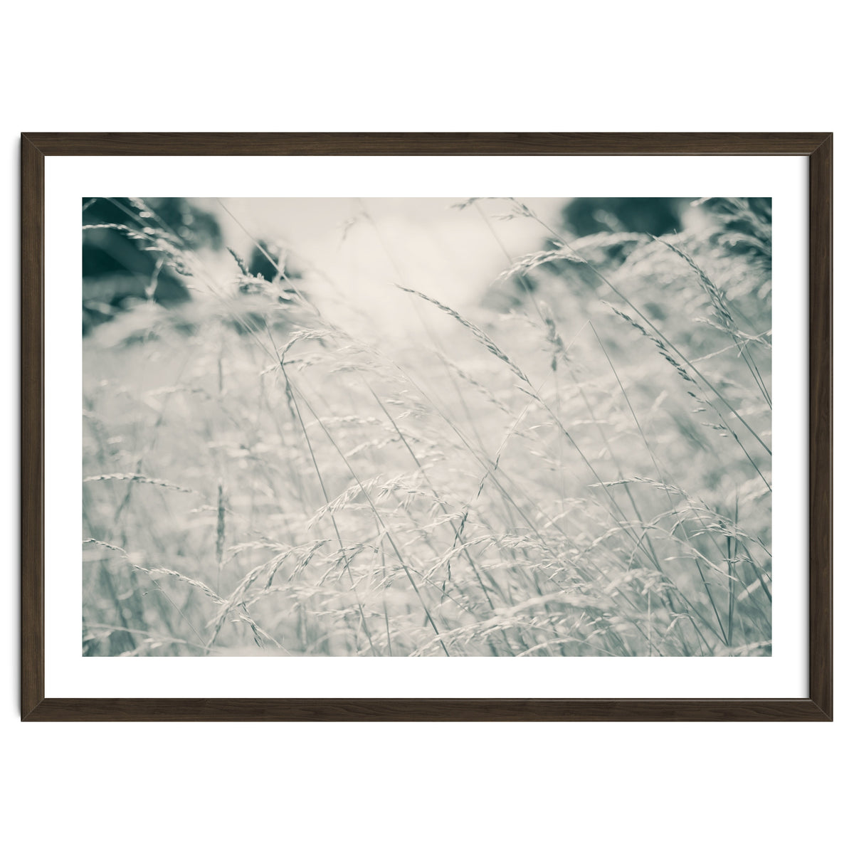 Walking Through Long Grass
