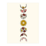 Floral Phases Of The Moon (Print Only) thumbnail