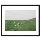 A flock of Sheep in the Green Hill - Iceland thumbnail