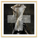 Grey Cross Wraith thumbnail