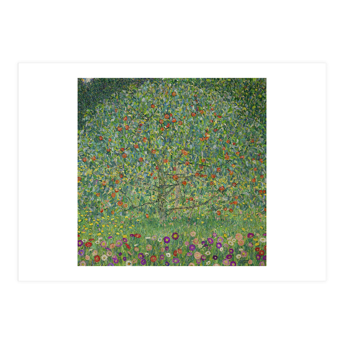 Apple Tree I, 1911 or 1912. Estates of Ferdinand and Adele Bloch-Bauer. (Print Only)