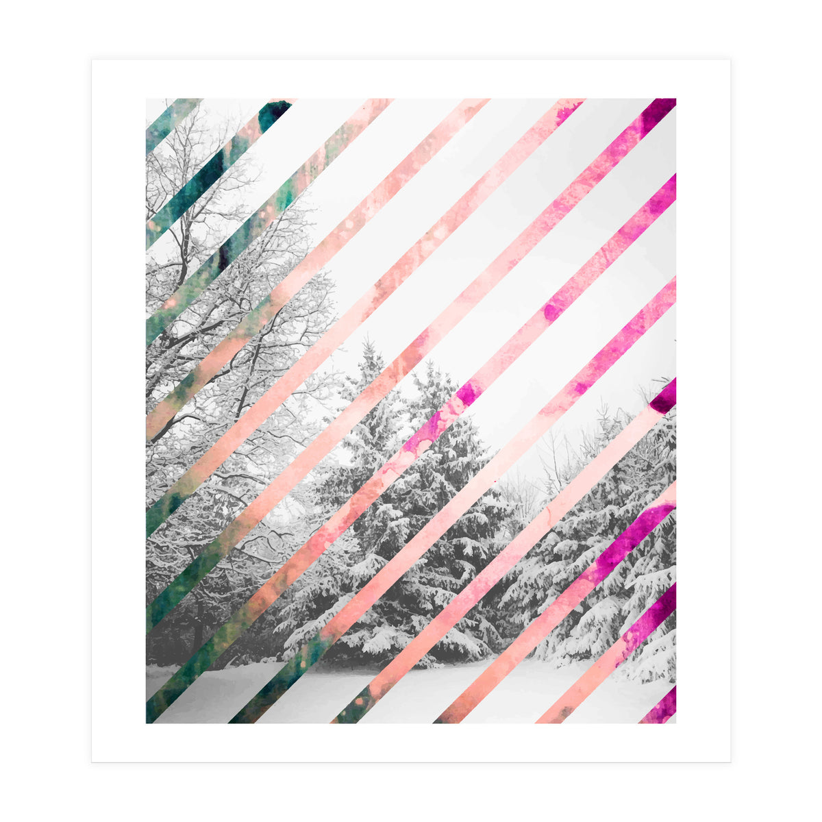 Snow Angel (Print Only)