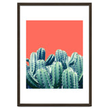 Cactus On Coral thumbnail
