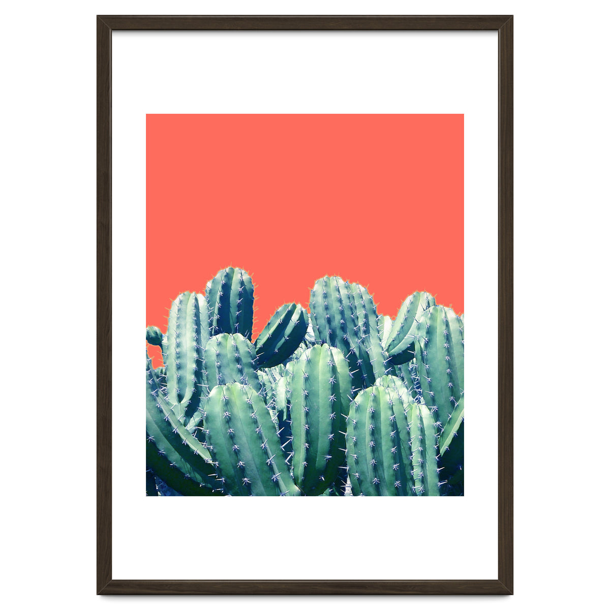 Cactus On Coral