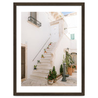 Stairs with cacti