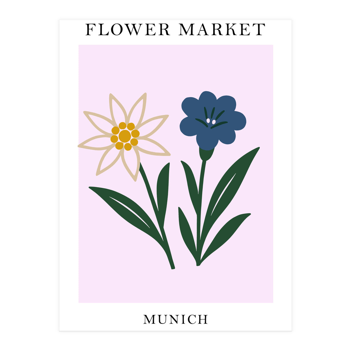Munich Flower Market - Minimalist Edelweiss Botanical Print (Print Only)
