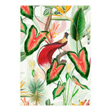 Vintage Bird Of Paradise in Jungle (Print Only) thumbnail