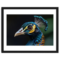 Close-up of a Peacock’s Head