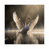 Graceful Swan Spreading Wings On Sparkling Water (Print Only) thumbnail