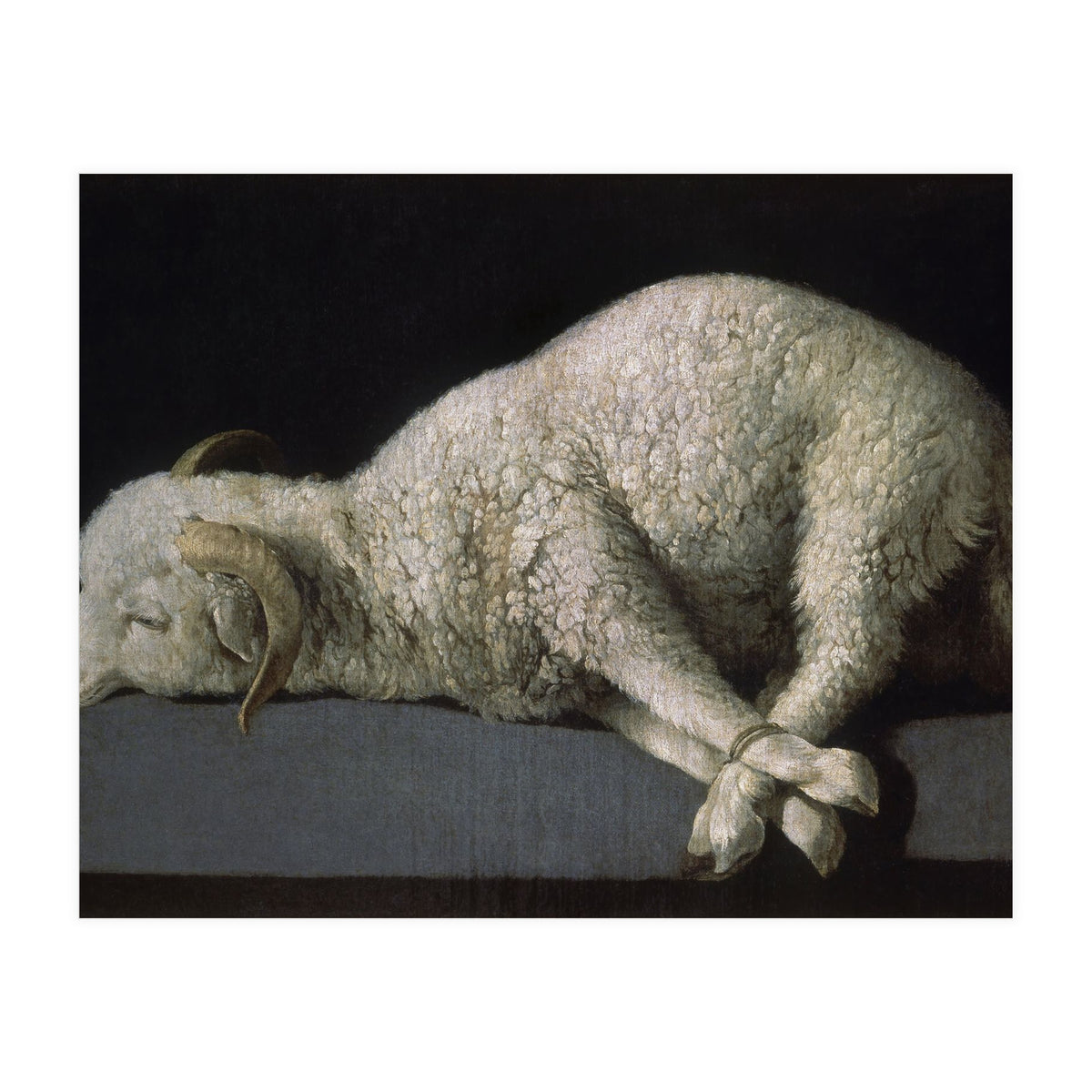 Agnus Dei - ca.1635-40 - oil on canvas - 37,3 x 62 cm - Spanish Baroque - NP 7293. (Print Only)