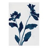 Indigo Blue Flower Silhouette 2 (Print Only) thumbnail