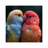 Two Lovebirds Nuzzling Close Up Portrait (Print Only) thumbnail