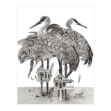 16x20 (Print Only) thumbnail