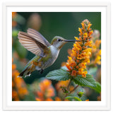Hummingbird Feeding On Yellow Flowers Nectar thumbnail