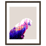 Macaw thumbnail