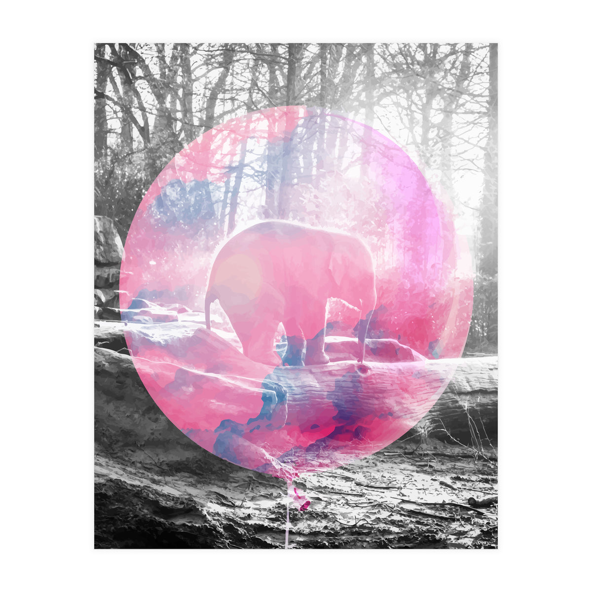 Baby Elephant In A Balloon (Print Only)