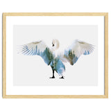 Swan thumbnail