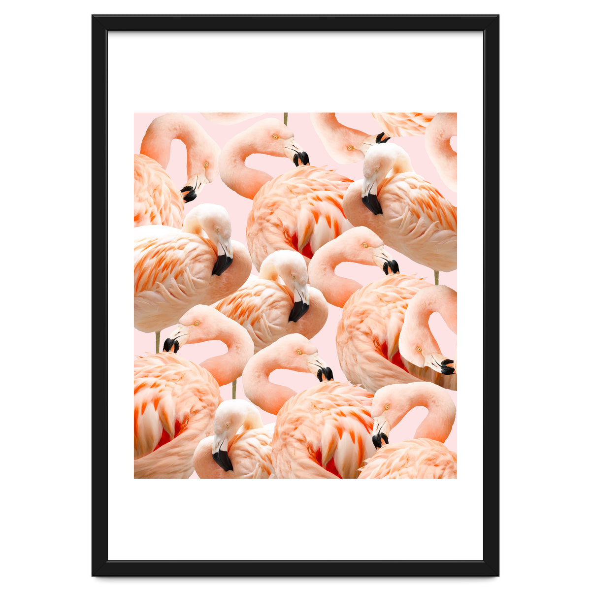 Flamingo Blush #society6 #decor #buyart #flamingoart