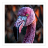 Close Up Of A Pink Flamingo Bird Face (Print Only) thumbnail