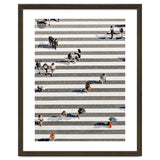 Rain Crossing | Polka Dots Zebra Crossing On The Street | Rain Eclectic Modern Graphic Design thumbnail
