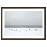 Seagulls in the winter snow beach thumbnail